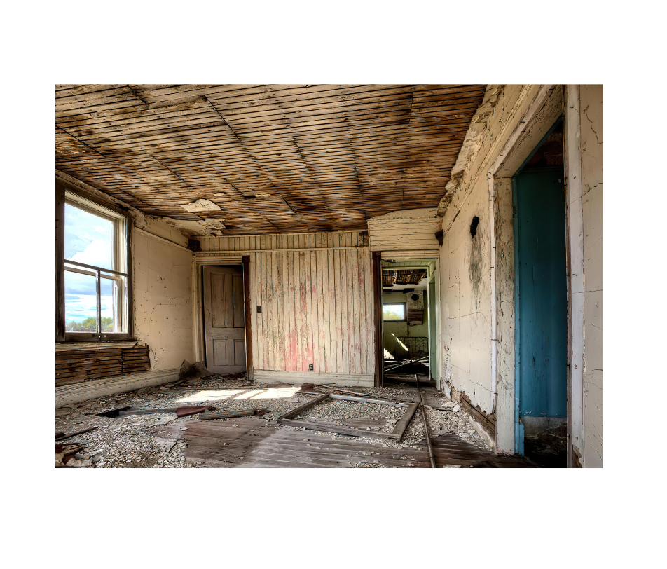 Mold Remediation on Long Island